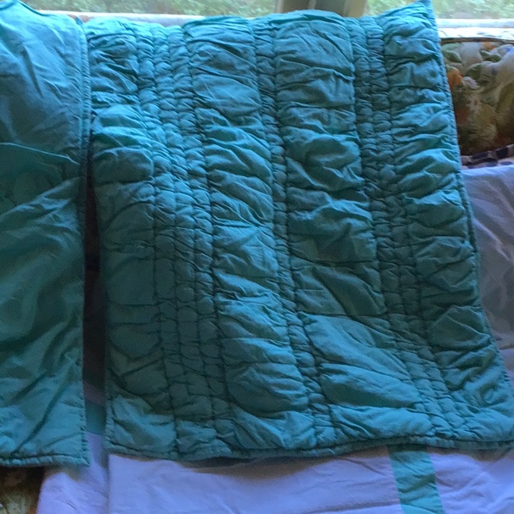 Pottery Barn Teen Pillow Shams in Color Pool (tealish green)